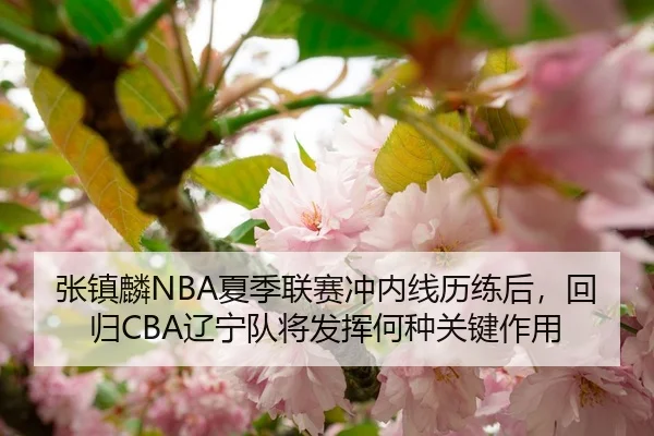 张镇麟NBA夏季联赛冲内线历练后，回归CBA辽宁队将发挥何种关键作用